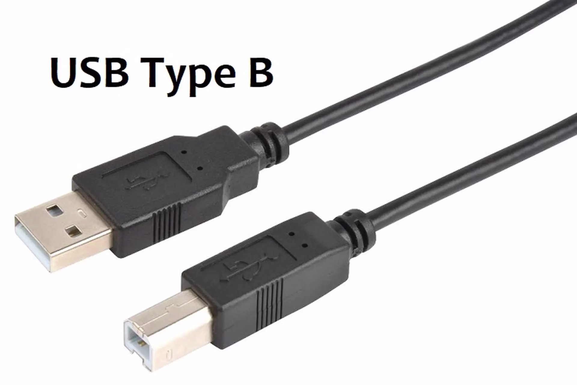 Meet USB-B: The Unsung Connector Still Powering Your Peripherals