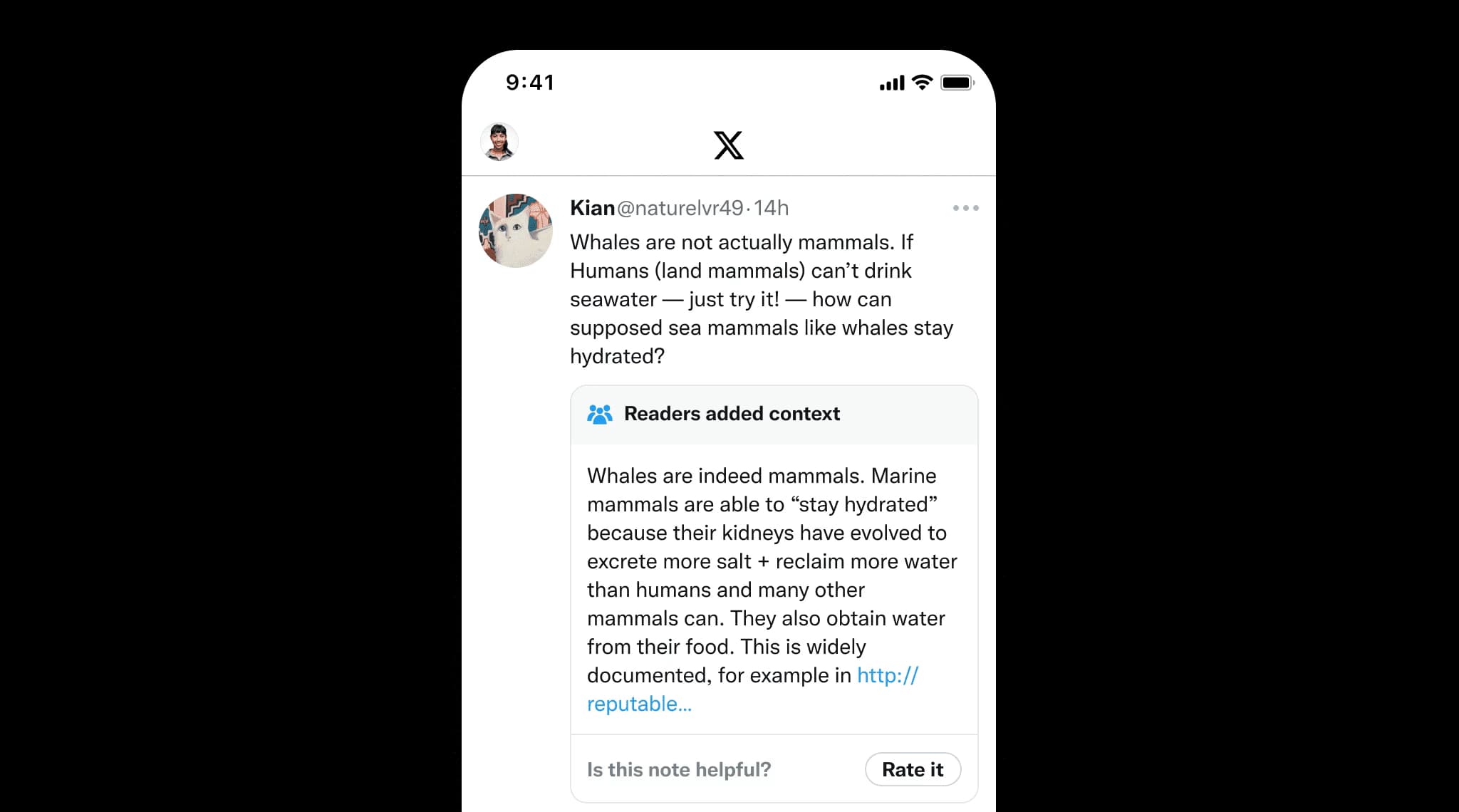 X's Community Notes Hits 1 Million Contributors: Expansion, Challenges, and the Quest for a Better-Informed World
