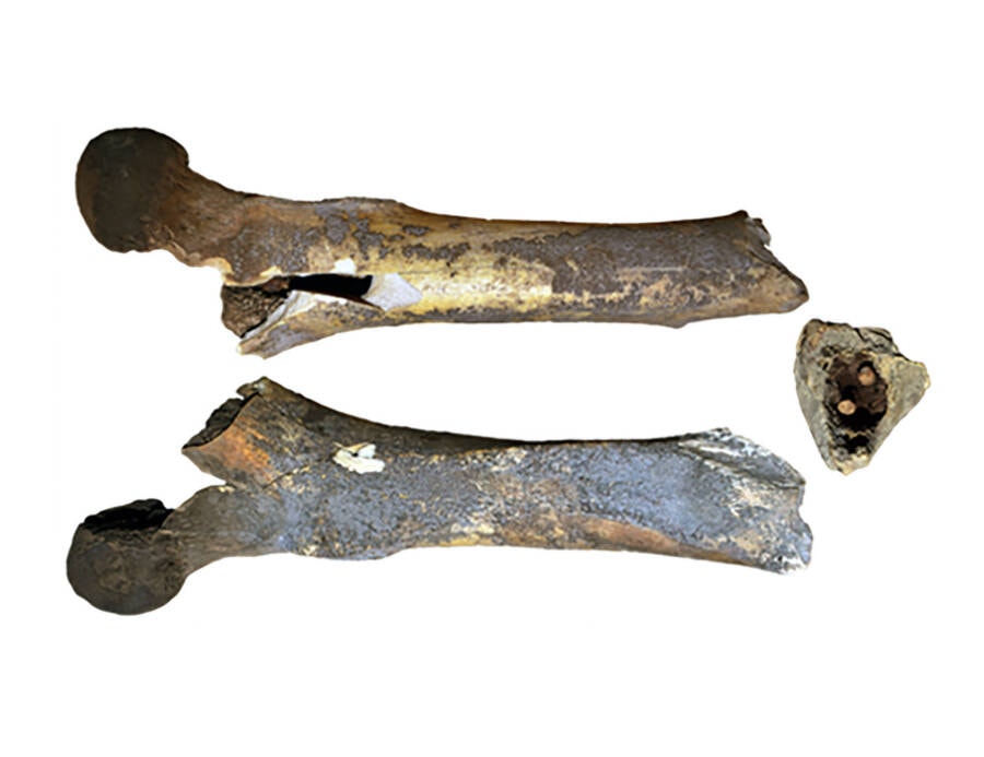 Discovery Reveals 70,000-Year-Old Poisoned Weaponry