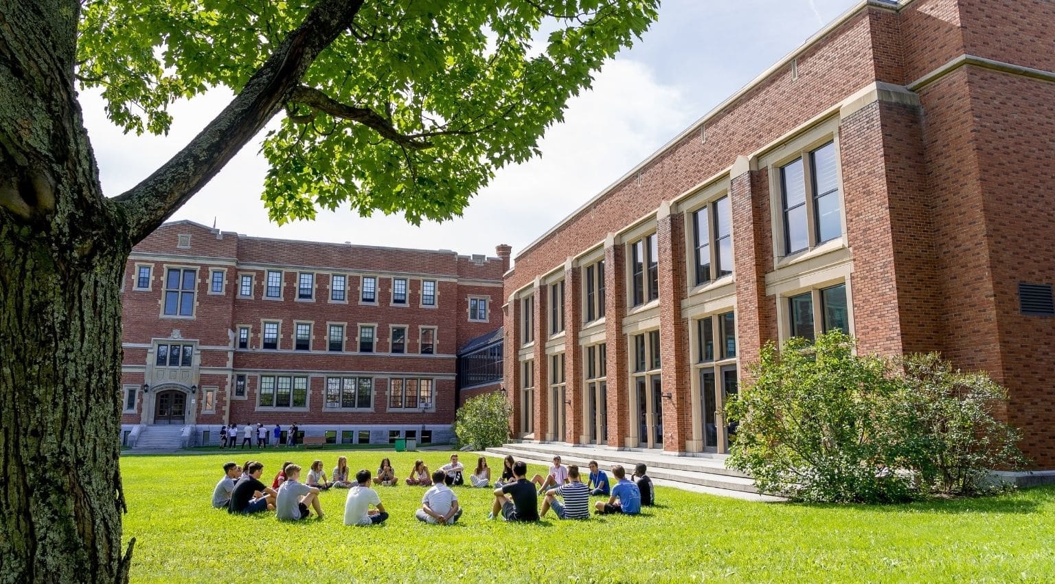 Chiến lược tích hợp AI trong giáo dục đại học hiện đại