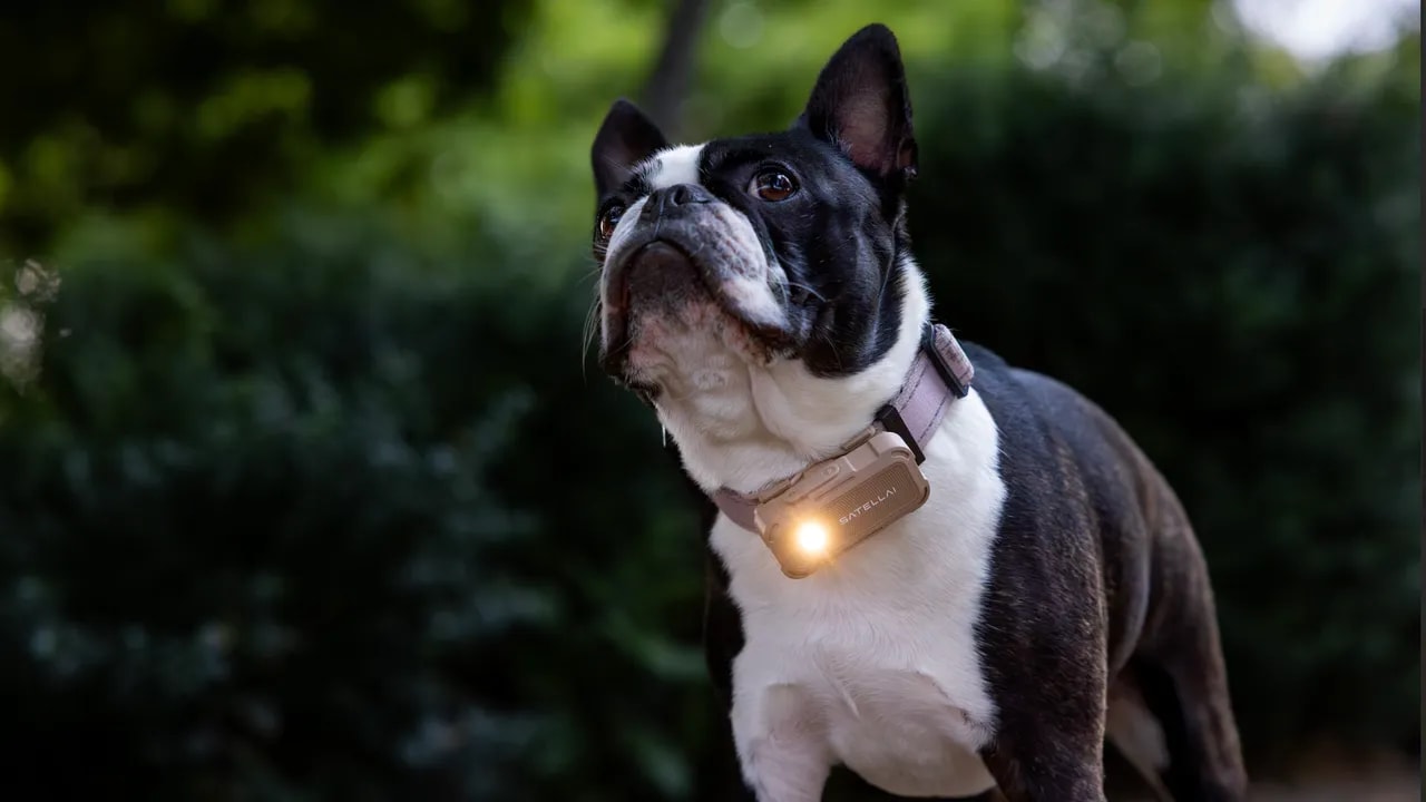 Satellai Petsense AI Unveiled at CES 2026 Amidst Pet Tech Surge