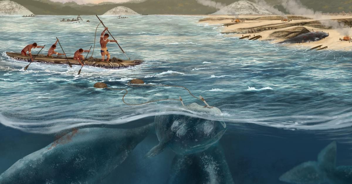 Ancient Bone Harpoons Redefine First Whalers in Brazil